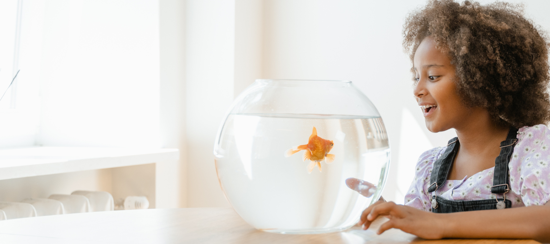 Young girl looking at her goldfish in a bowl