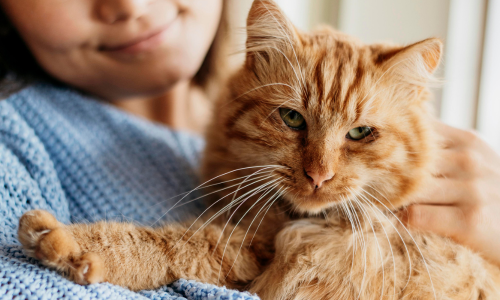 Woman holding her cat